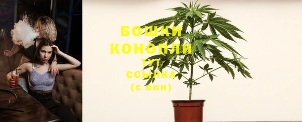 амф Видное