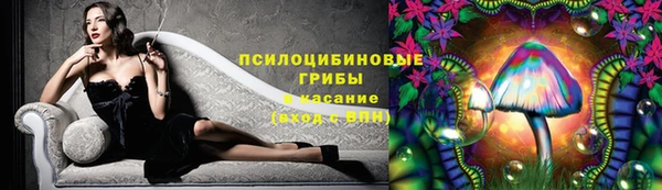 кокс Абаза